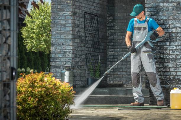 Animal Enclosure Cleaning in Peabody, KS
